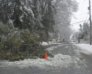 At least two trees down completely block Route 82 in East Marlborough. Trees and branches are down across the county, closing roads and making travel hazardous.