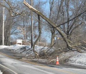 Days into recovery efforts, this large tree branch rests of power lines — blocking southbound traffic — in East Fallowfield, Friday. Although power has been restored to more than 80,000 PECO customers in Chester County, as of Friday morning, more than 130,000 were said to still be without power from the early Wednesday morning ice storm.